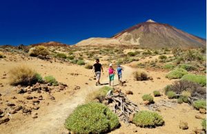 Wandelen naar Pico del Teide