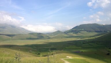 Le Marche