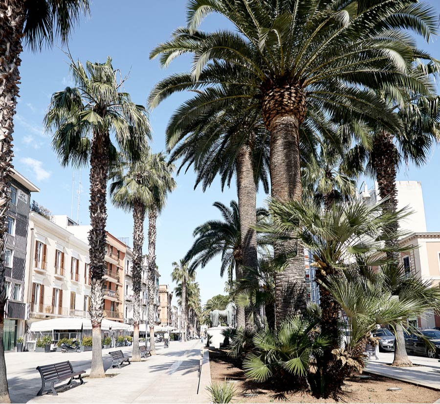 Het nieuwe gedeelte in Bari met palmbomen